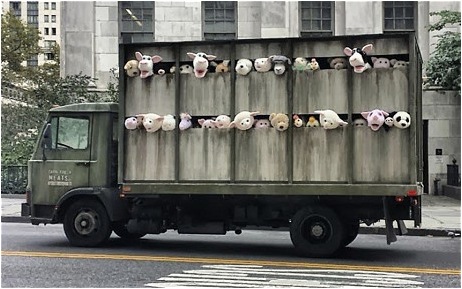 Banksy - Sirens of the Lambs