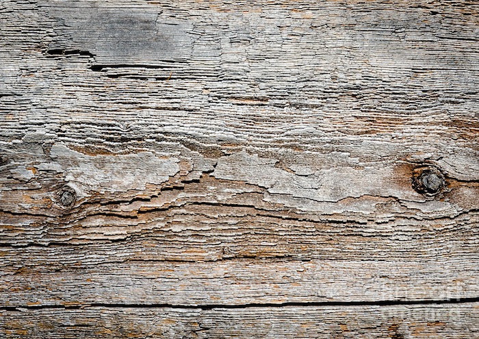 digital-bark-texture-as-if-digitised-contours-on-natural-wood-andy-smy