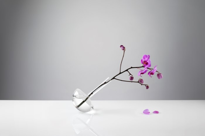 gauge-crystal-vase-by-jim-rokos-custom