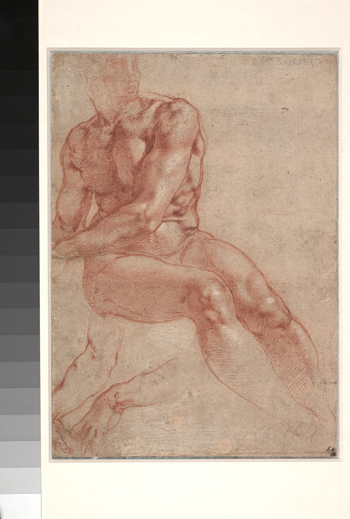 Study for Ignudo [front]; Study of Hands for the Pietà [back],