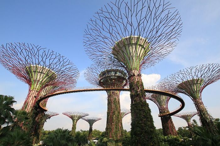 Supertrees_Singapur_opt