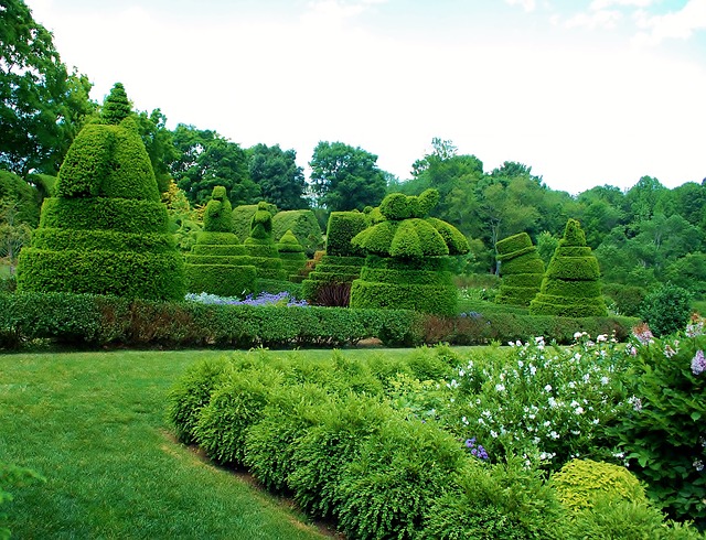 Topiaries in Ladew Topiary Gardens in Monkton, Maryland