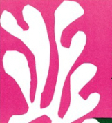 Bold: Matisse: The Late Lithographs