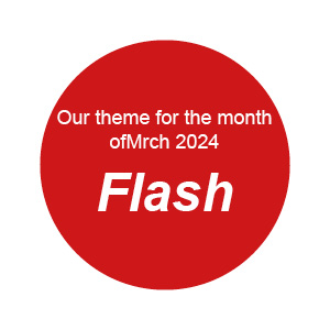 Our Monthly Theme at .Cent for March 2024 is  Flash;
