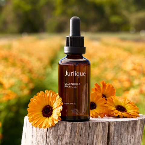 Glow with Confidence: Experience the New Jurlique Calendula Face Oil