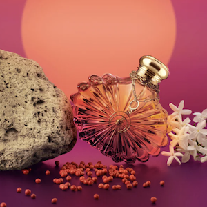 From Morning into Night: The Perfect Powerful Perfumes