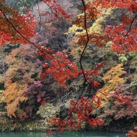 Japan; the Miricle Islands of the Unexpected and Fascinating